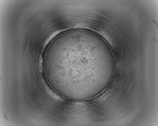 X0000096951126200802151231