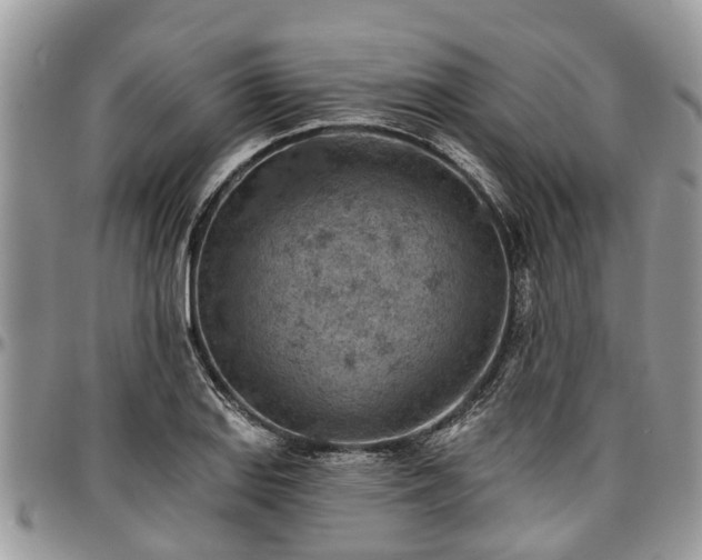X0000096951127200802151231