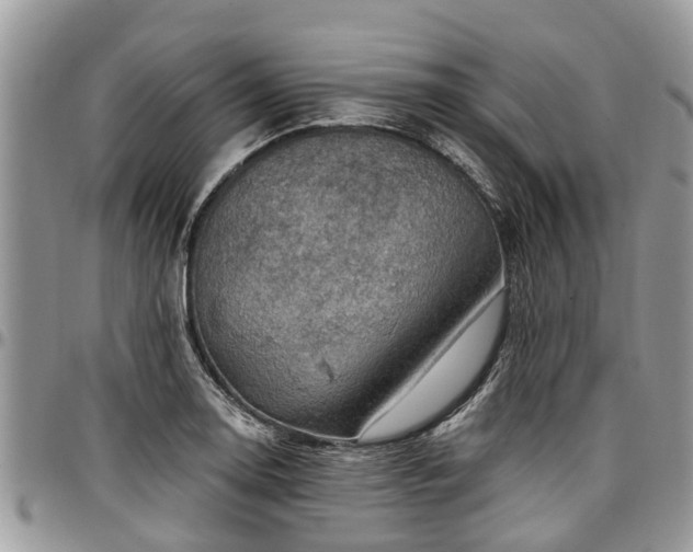 X0000096951130200802151231