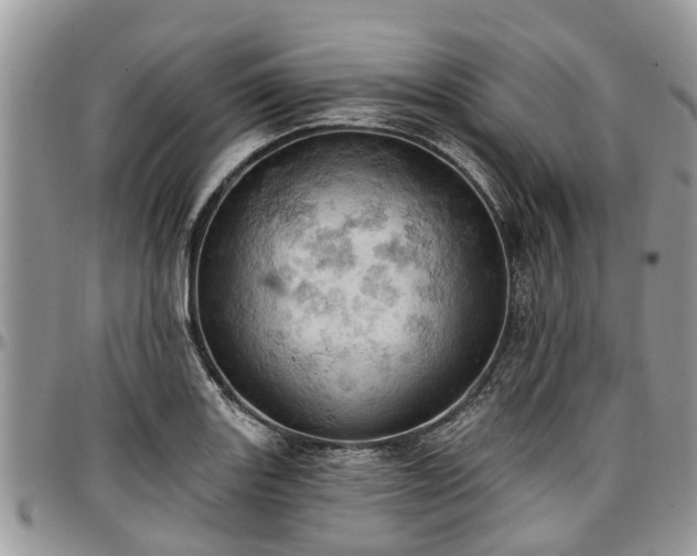 X0000096951131200802151231