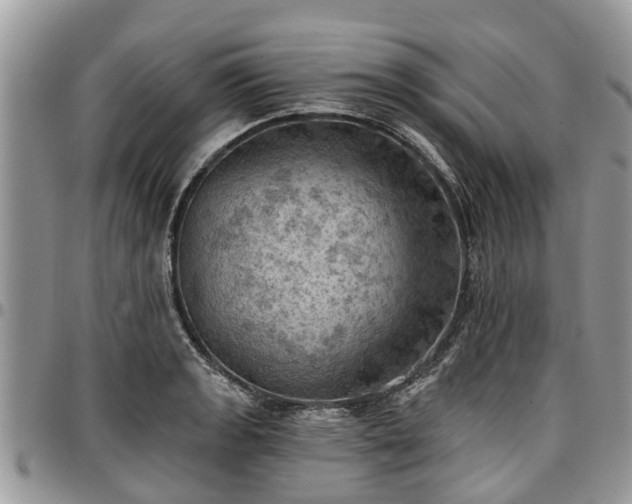 X0000096951133200802151231