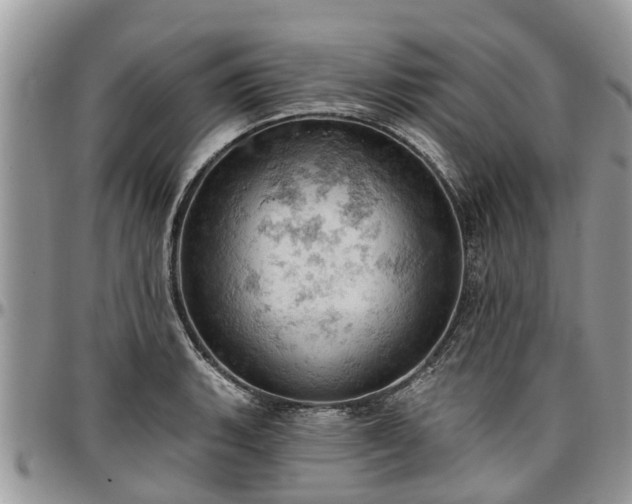 X0000096951135200802151231