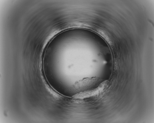 X0000096951136200802151231