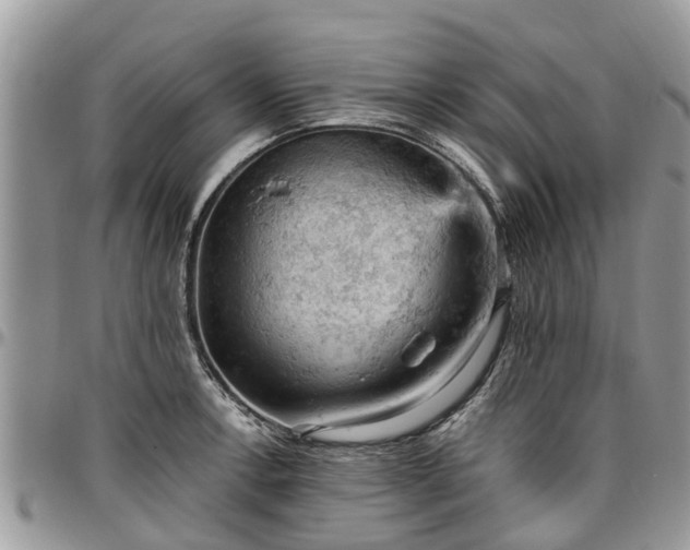 X0000096951138200802151231