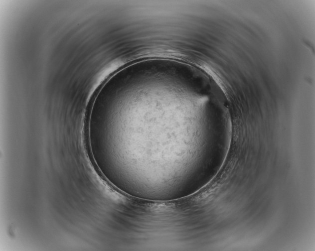 X0000096951139200802151231