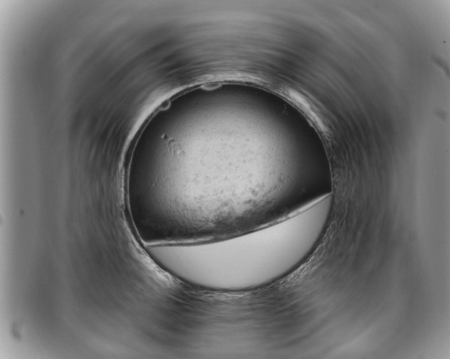 X0000096951140200802151231