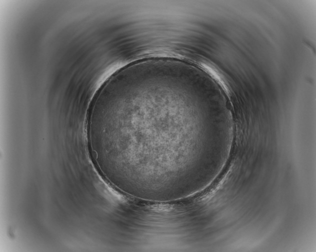 X0000096951141200802151231