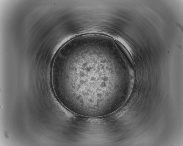 X0000096951142200802151231