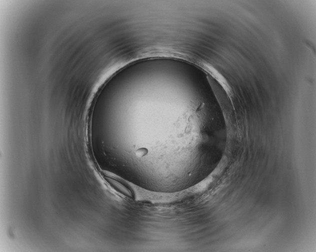 X0000096951144200802151231