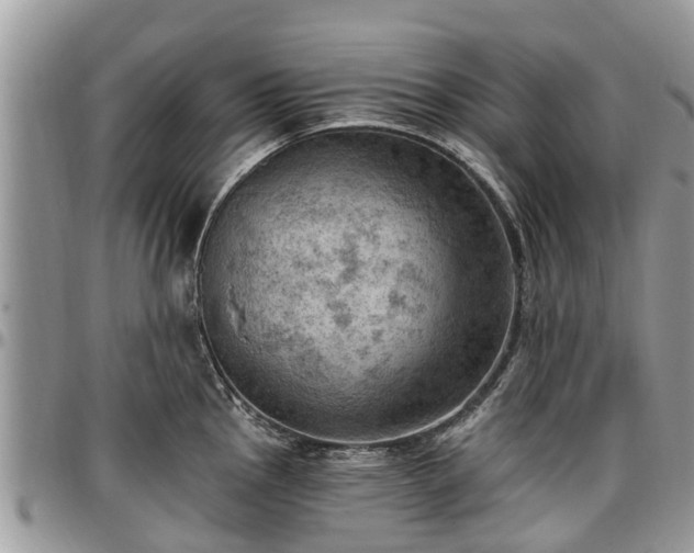 X0000096951145200802151231
