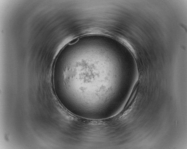 X0000096951146200802151231