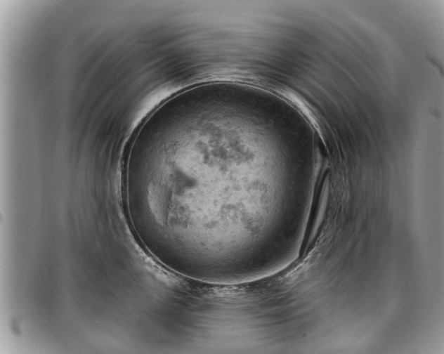 X0000096951147200802151231