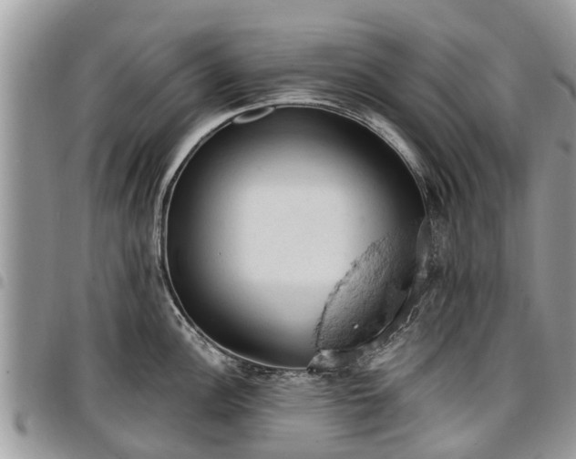 X0000096951148200802151231
