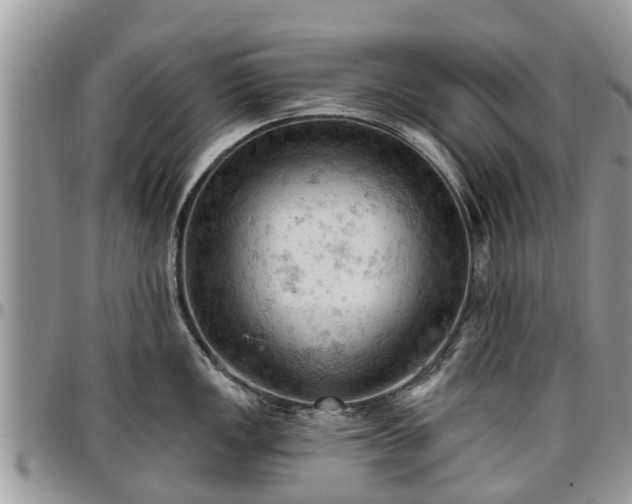 X0000096951149200802151231