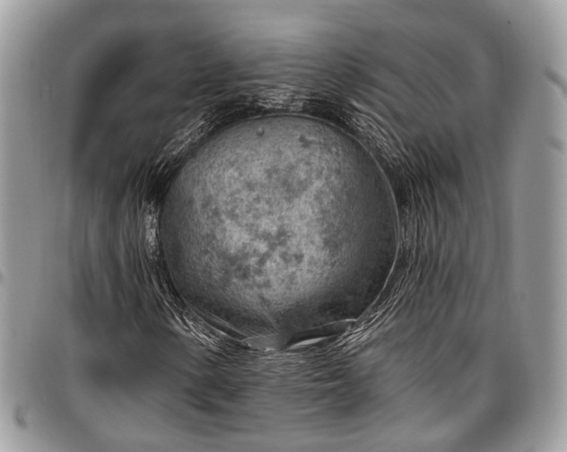 X0000096951154200802151230