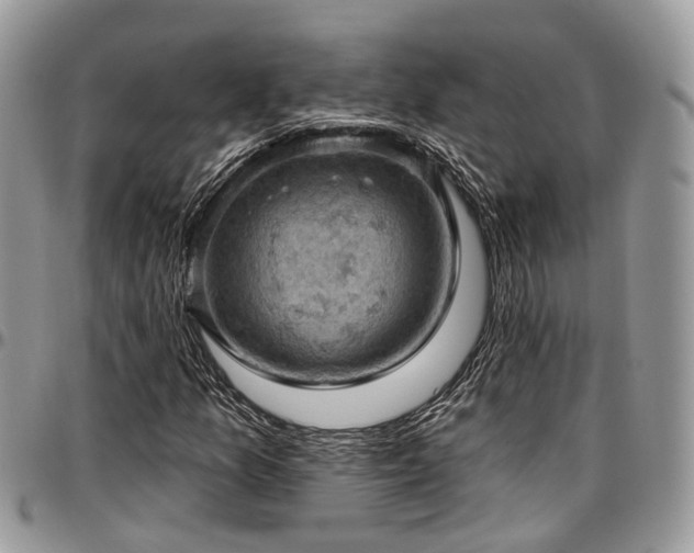 X0000096951157200802151230