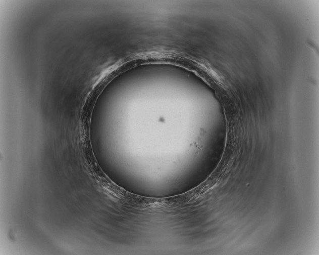X0000096951160200802151230