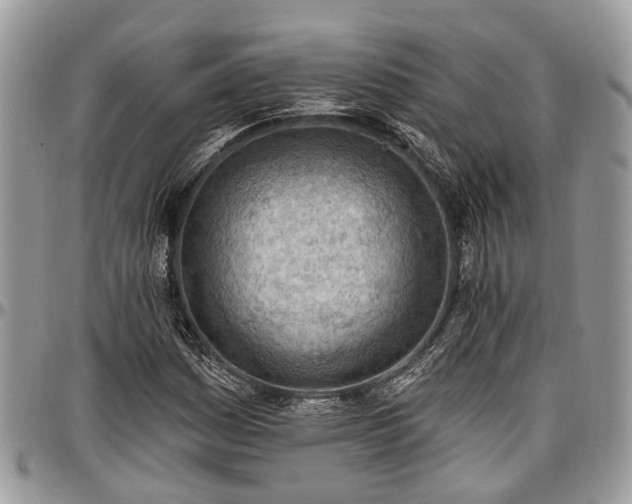 X0000096951161200802151230