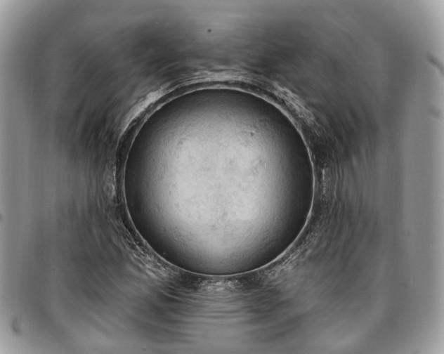 X0000096951165200802151230