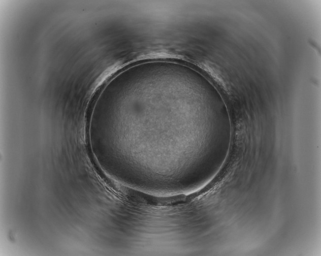 X0000096951173200802151230