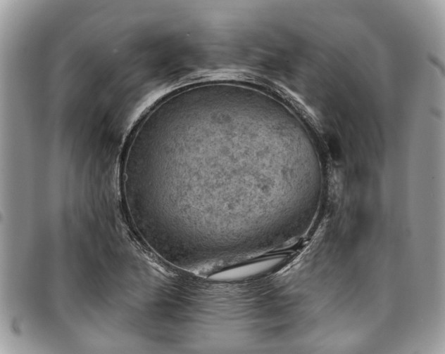 X0000096951174200802151230