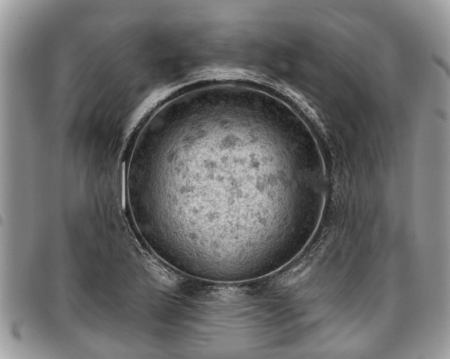 X0000096951175200802151230