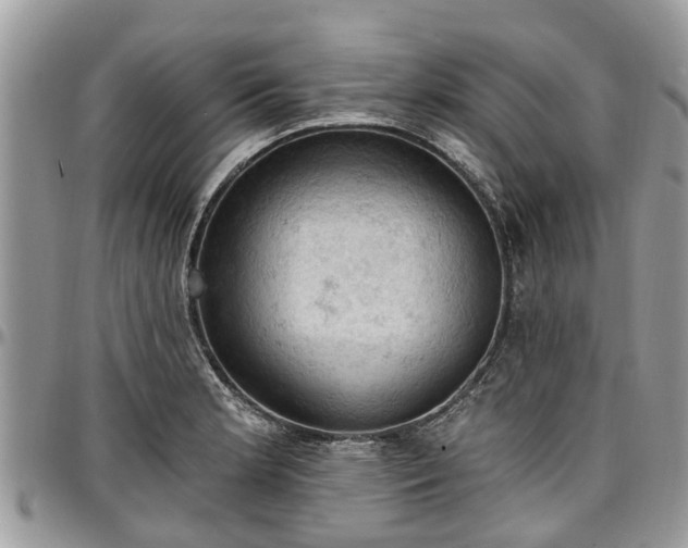 X0000096951181200802151230
