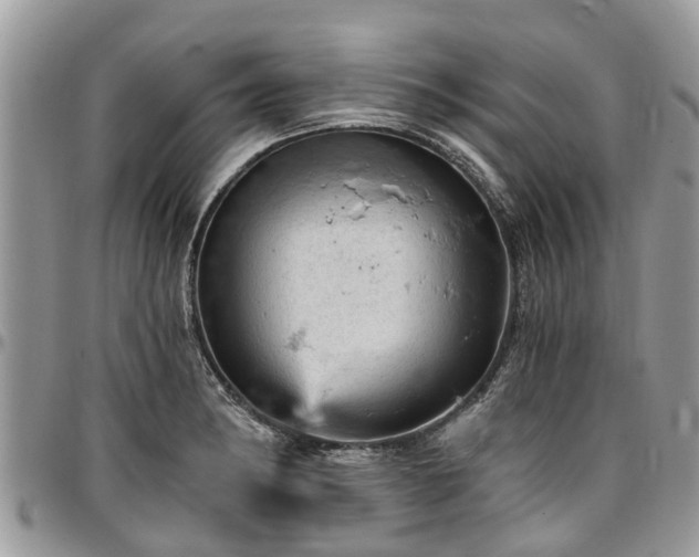 X0000096951182200802151230