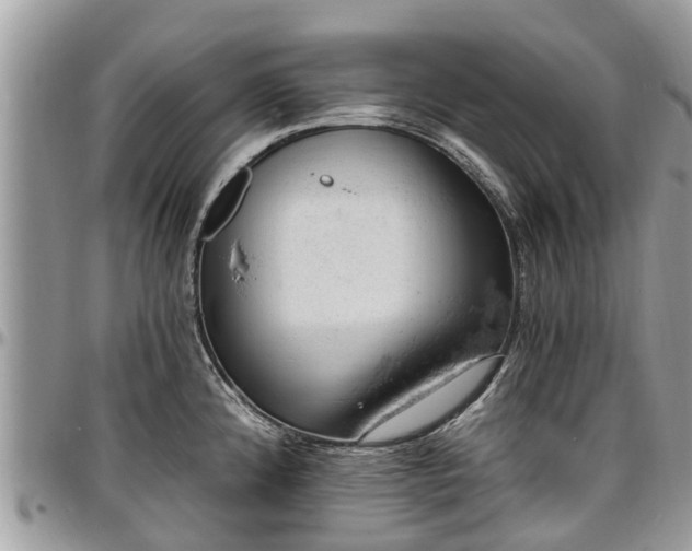 X0000096951192200802151230