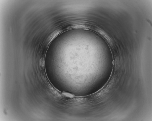 X0000096951193200802151230