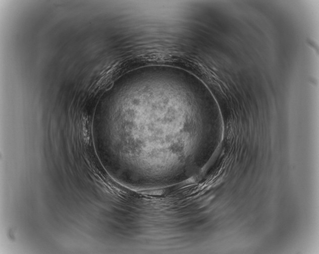 X0000096951202200802151229