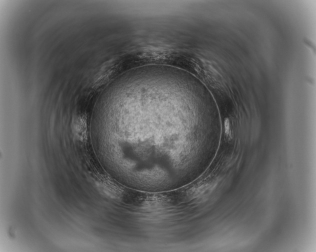 X0000096951203200802151229