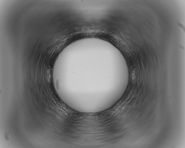 X0000096951204200802151229
