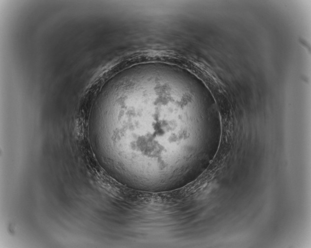 X0000096951207200802151229