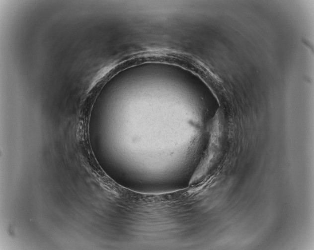 X0000096951208200802151229