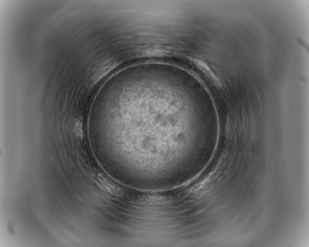 X0000096951209200802151229