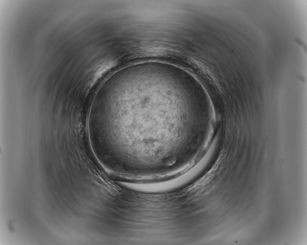 X0000096951210200802151229