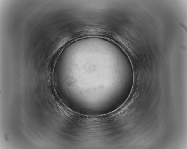 X0000096951211200802151229