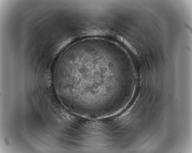X0000096951213200802151229