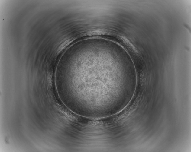 X0000096951217200802151229