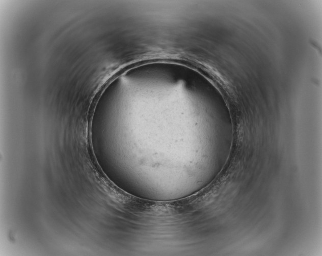 X0000096951220200802151229