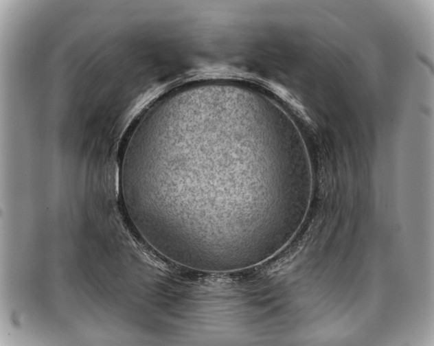X0000096951221200802151229