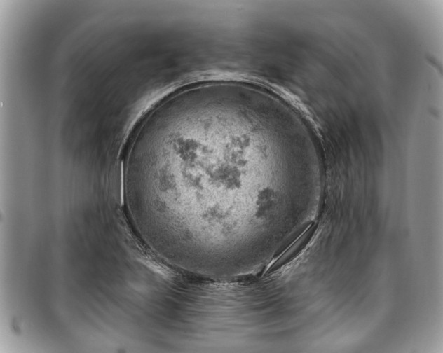 X0000096951223200802151229