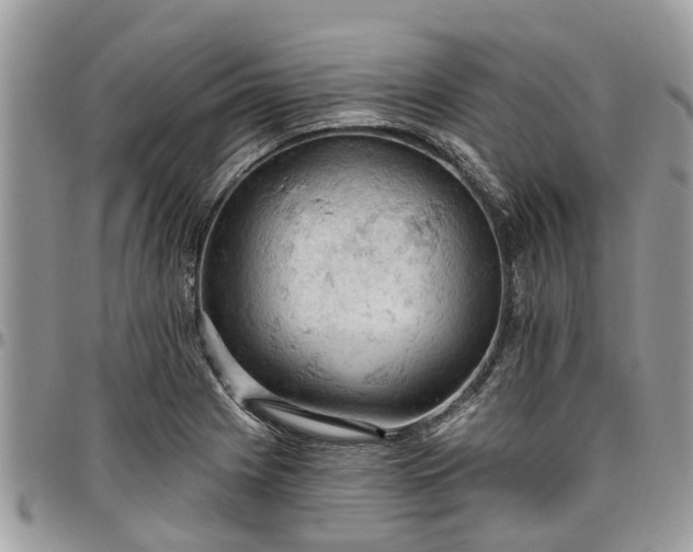 X0000096951225200802151230