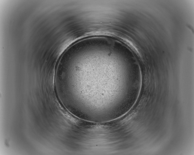 X0000096951228200802151230