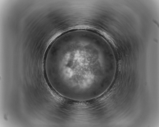 X0000096951229200802151230