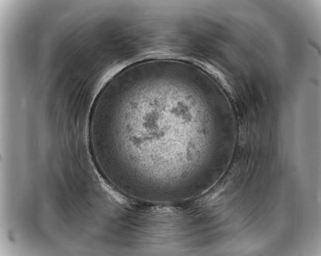 X0000096951231200802151230