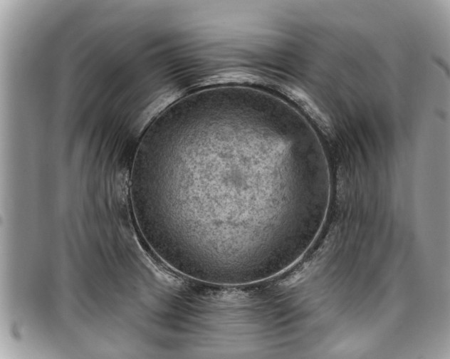 X0000096951233200802151230