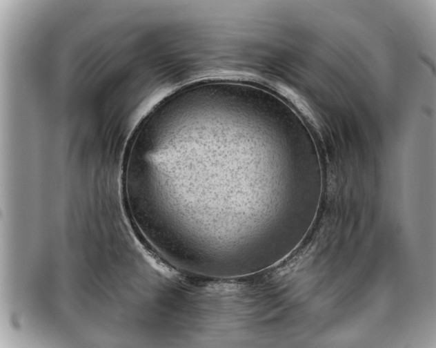 X0000096951237200802151230