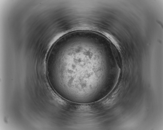 X0000096951238200802151230